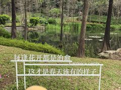 -云溪植物园