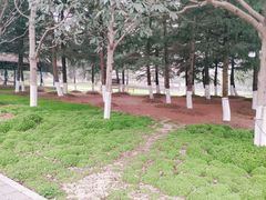 -苏州西交利物浦大学国际会议中心