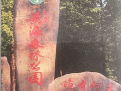 -黄海国家森林公园