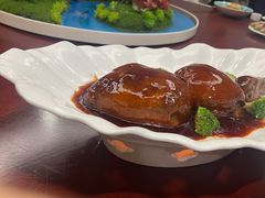 -丁老爷子苏香圆