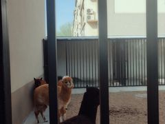 -沈阳市大东区海蓝花语幼儿园