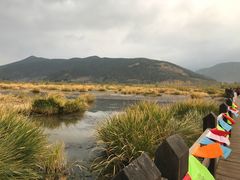 -泸沽湖国家级风景名胜区走婚桥