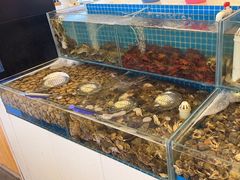 -港畔赶海蒸汽海鲜烧烤自助(仙螺岛店)