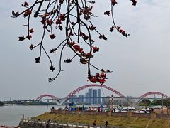-喜洲吧·江畔老船厂·庭院餐厅(喜临院店)