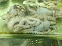 -四海鲜渔家菜(黄金海岸店)