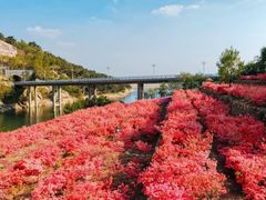 -烟台山景区
