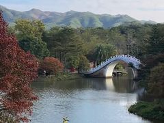 -田野绿世界