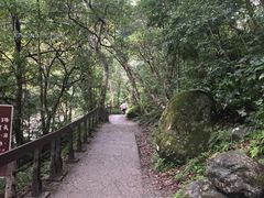 -太鲁阁公园