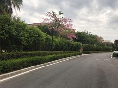 -厦门帝元维多利亚大酒店(环岛路黄厝海滩店)