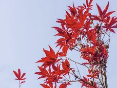 -汇泉广场