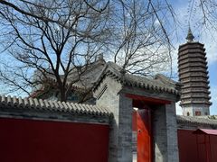 -西海子公园