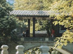 -荔湾湖公园