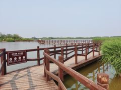 -西青郊野公园