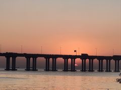 -宝安西湾红树林湿地公园