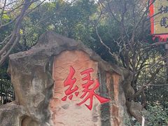 -杭州黄龙洞