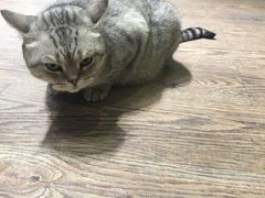 -小时光咖啡馆(开森度假森林店)