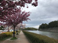 -名古屋城