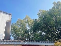 -龙华素斋(龙华路店)