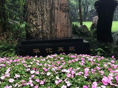 -复旦大学附属华山医院(总院)