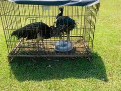 -千龙湖生态旅游度假区