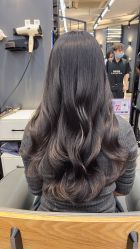 -藤野造型