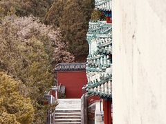 -颐和园