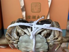 -品鲜村农家菜·阳澄湖大闸蟹(总店)