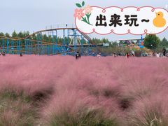 -金卉庄园