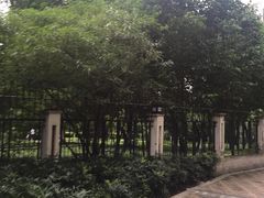 -途睿健身游泳俱乐部(顶峰店)