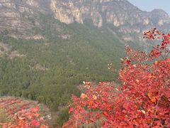-狼牙山风景区