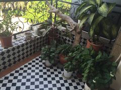 -茶油香闽南菜·花园餐厅(前埔店)