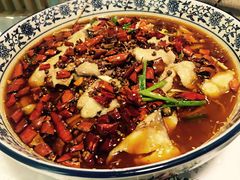 -付掌柜在成都·热炒砂锅集(金禾店)