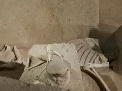 -洛阳周王城天子驾六博物馆