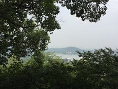 -上海佘山国家森林公园西佘山园