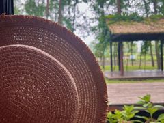 -合肥滨湖国家森林公园
