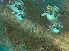 -成都浩海立方海洋公园