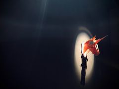 -HUNTING BAR亨霆鸡尾酒馆(越秀淘金店)