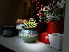 -MINIPOPO鲜奶·甜品(宽厚里店)