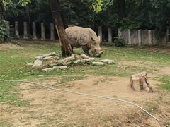 -深圳野生动物园