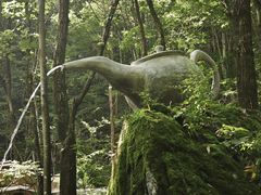 -牛背梁国家森林公园