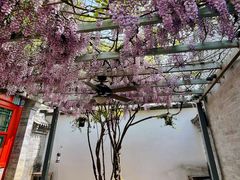 -北京古城老院厉晓麟精致菜