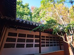 -苏州文庙(姑苏区)