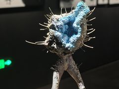-中国美术学院-美术馆