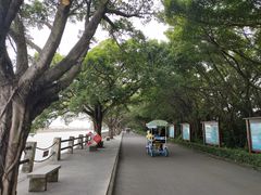 -大湾区中央湿地公园