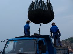 -枸杞岛