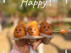 -长白岛森林公园