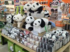 -熊猫邮局(少城店)