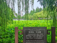 -包公祠
