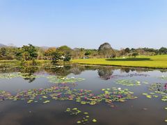 -中国科学院西双版纳热带植物园