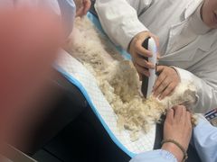 -汪喵宠物医院·骨科心脏影像·犬猫急重症ICU诊疗中心(成华分院)